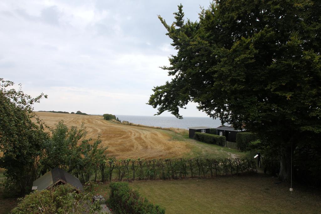 Hotel Stevns Klint Strandpension Rødvig Esterno foto