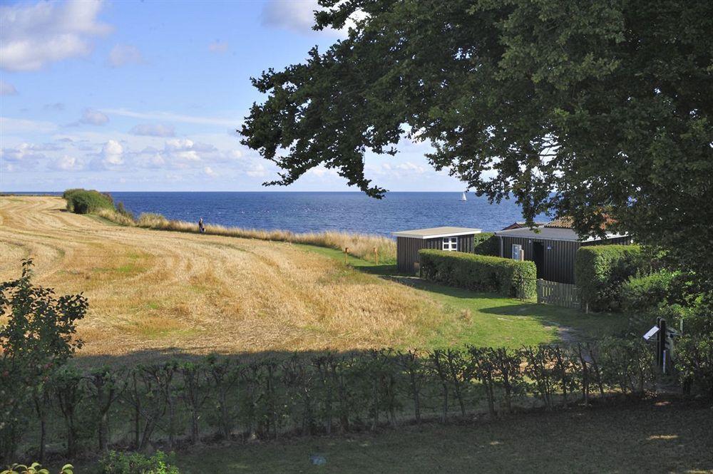 Hotel Stevns Klint Strandpension Rødvig Esterno foto