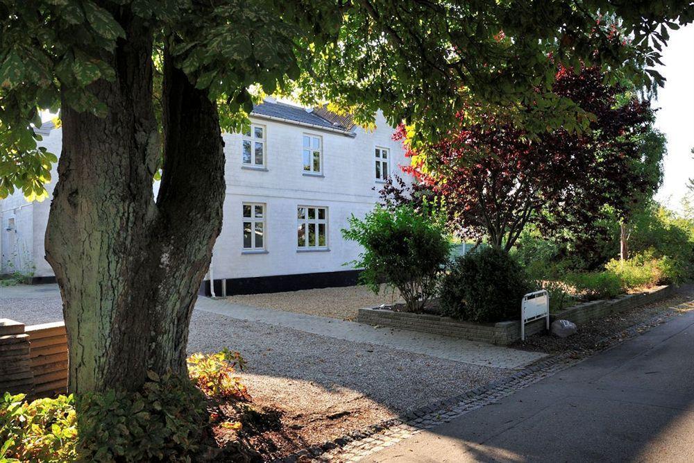 Hotel Stevns Klint Strandpension Rødvig Esterno foto