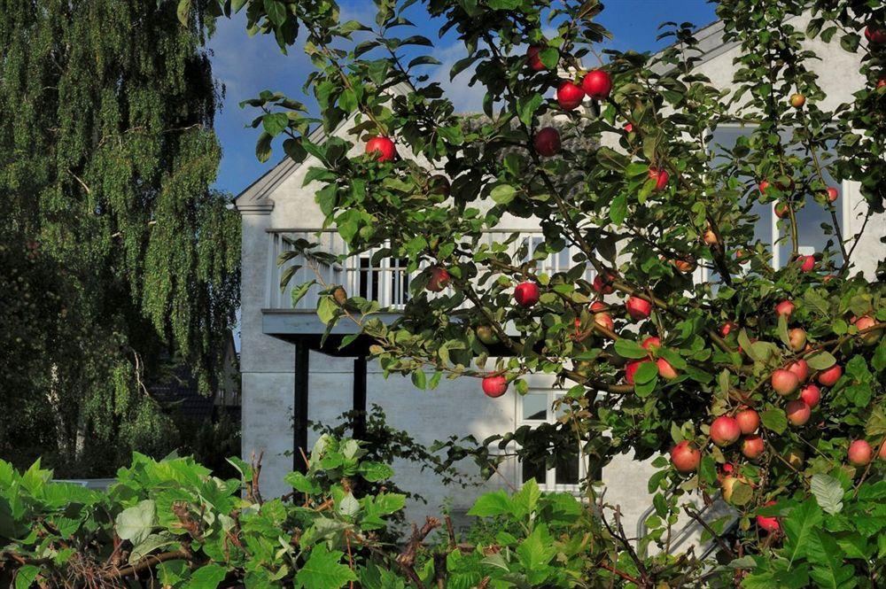 Hotel Stevns Klint Strandpension Rødvig Esterno foto