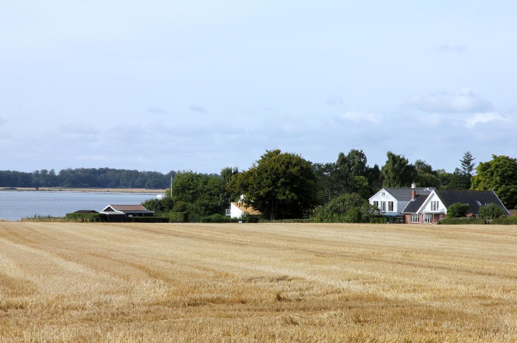 Hotel Stevns Klint Strandpension Rødvig Esterno foto