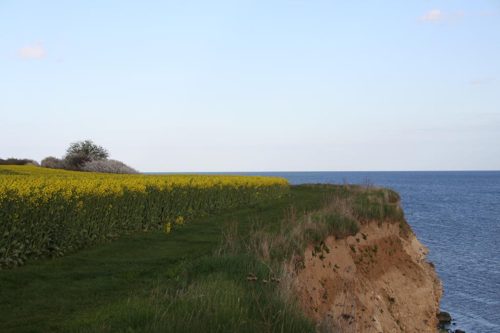 Hotel Stevns Klint Strandpension Rødvig Esterno foto