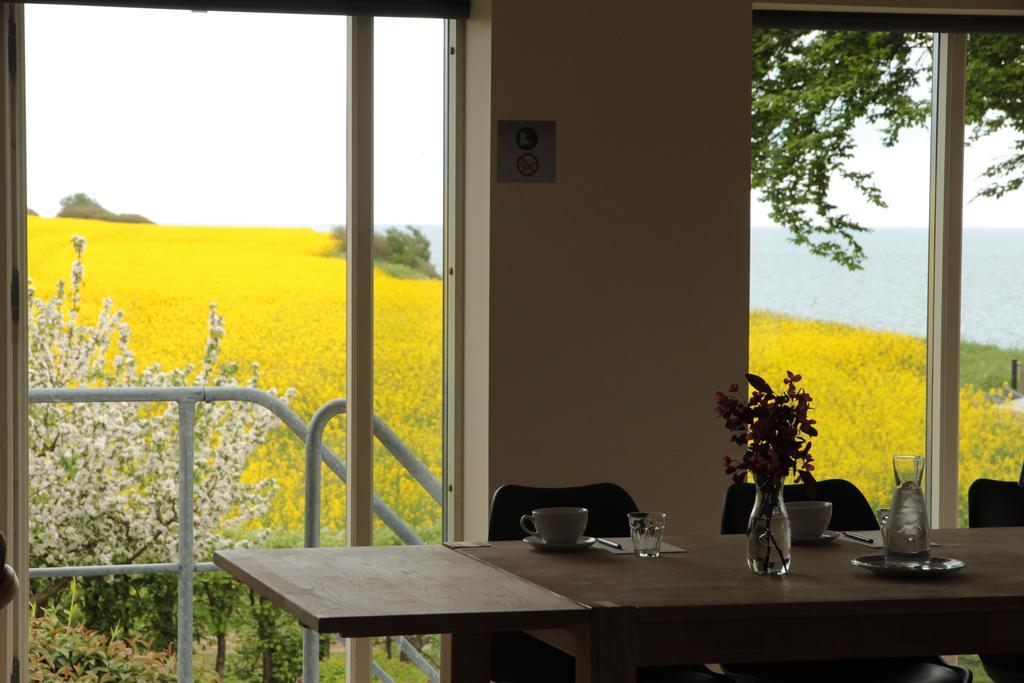 Hotel Stevns Klint Strandpension Rødvig Esterno foto