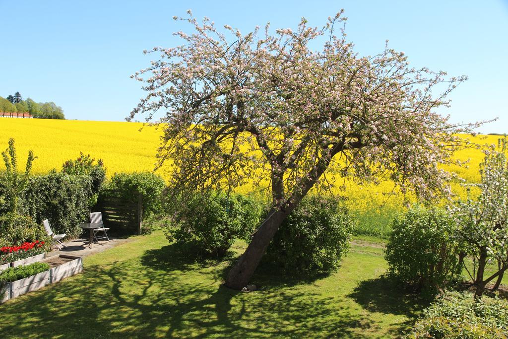 Hotel Stevns Klint Strandpension Rødvig Esterno foto