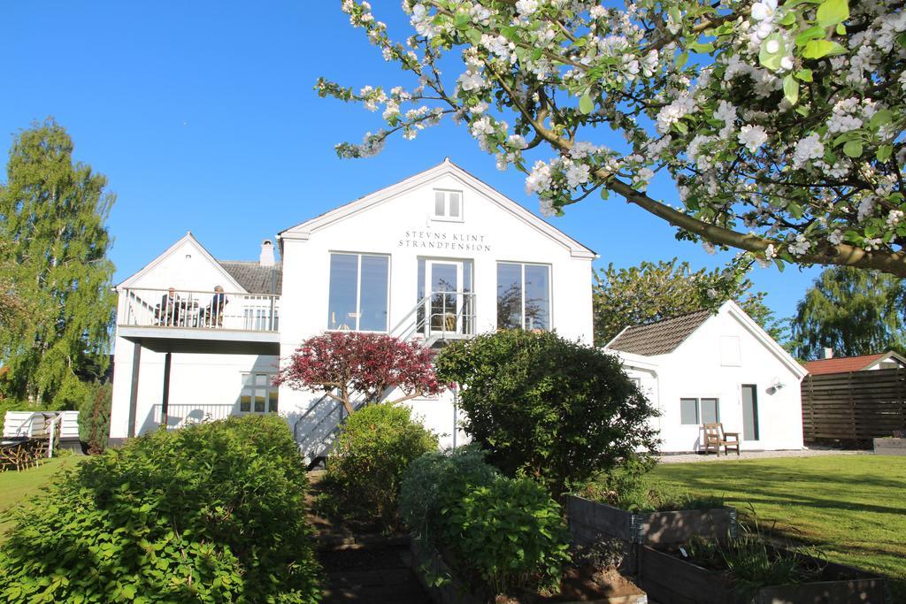 Hotel Stevns Klint Strandpension Rødvig Esterno foto